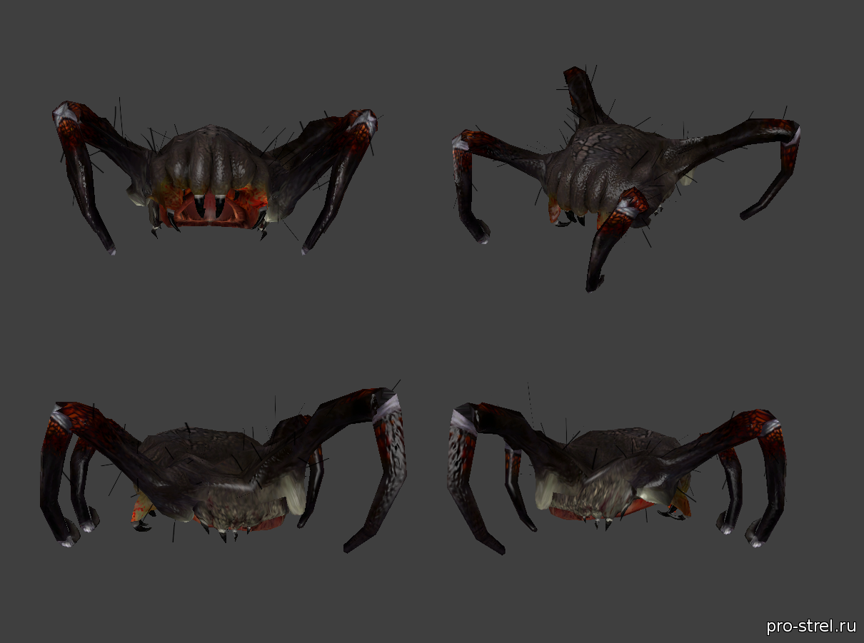 Babycrab for CS GO